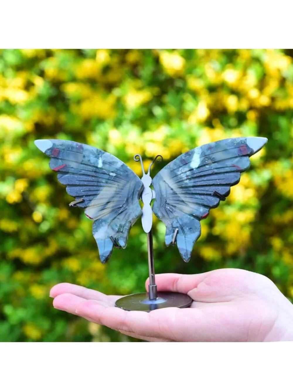 N/A transform your